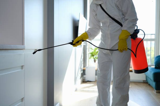 Best Toxic Mold Removal  in Menasha, WI